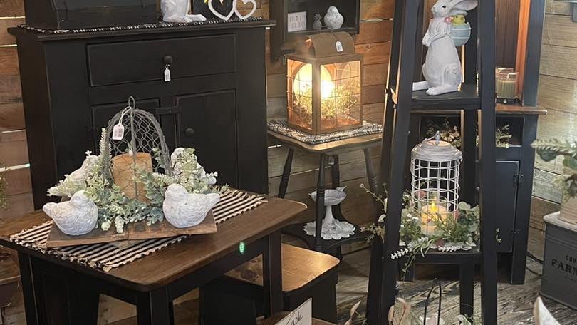 Primitive Beginnings