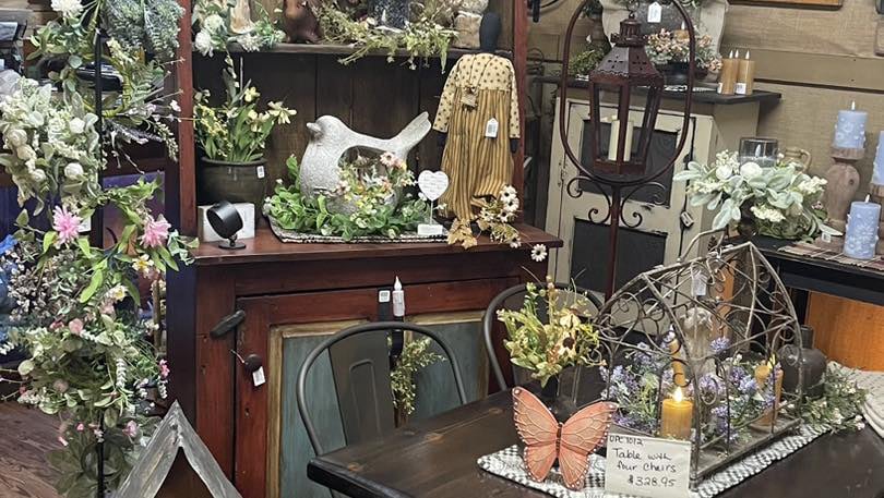 Primitive Beginnings